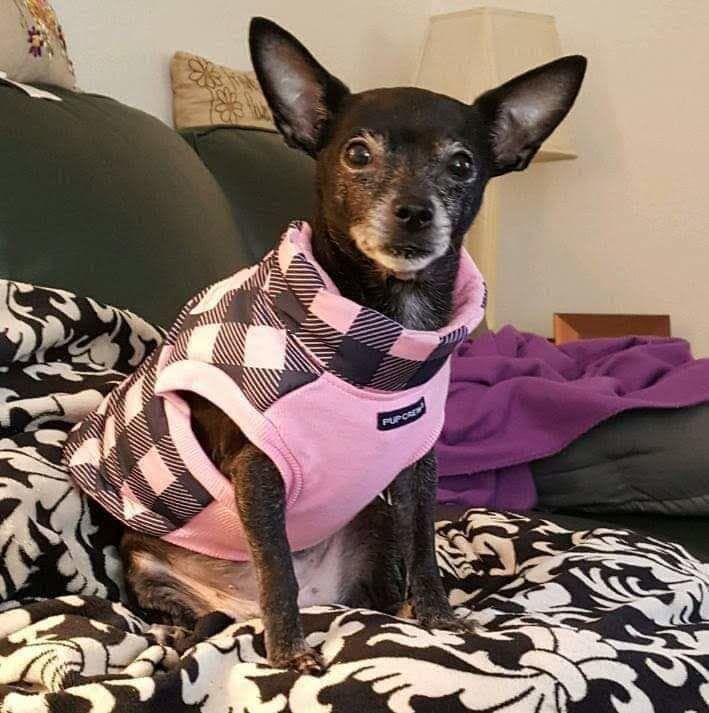 Molly